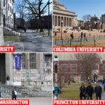 Harvard university in the news