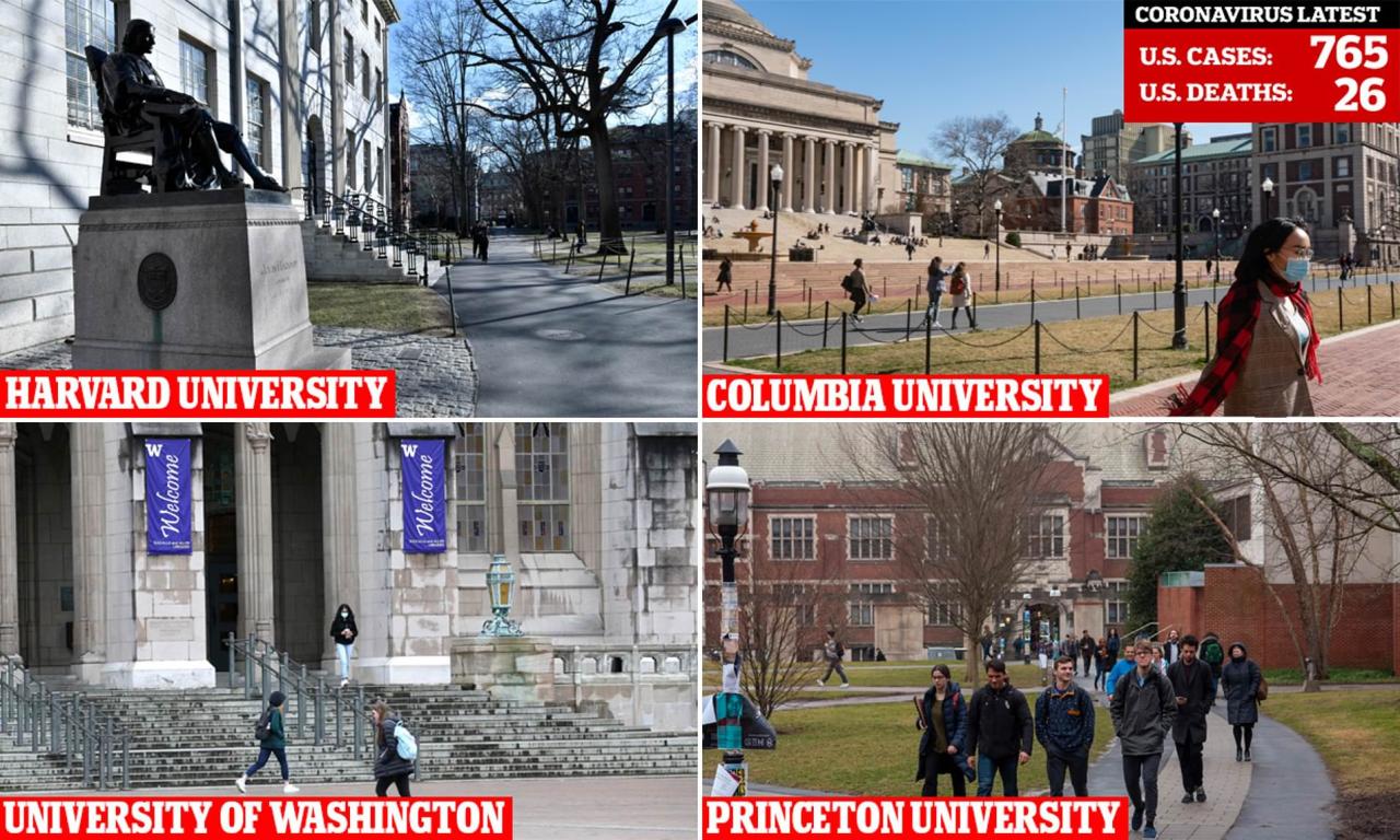 Harvard university in the news